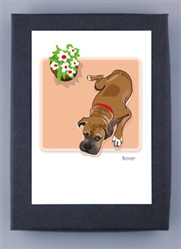 Boxer & Flower Pot - Grrreen Boxed Note Cards