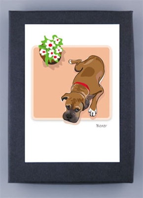 Boxer & Flower Pot - Grrreen Boxed Note Cards