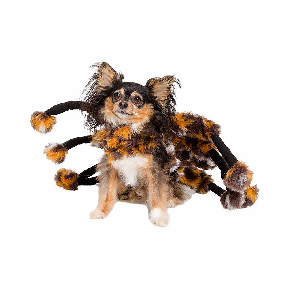 Spider Costume for Dogs