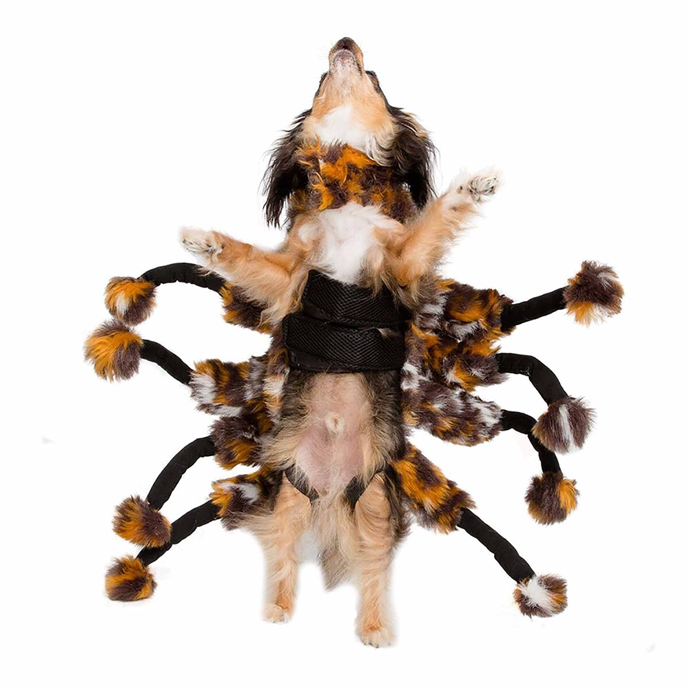Spider Costume for Dogs