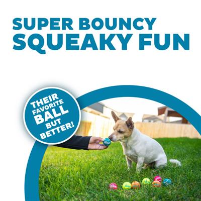 Squeaker Ballz Mlt XS 8pk