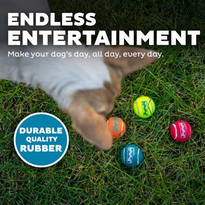 Squeaker Ballz Mlt XS 8pk