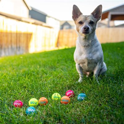 Squeaker Ballz Mlt XS 8pk