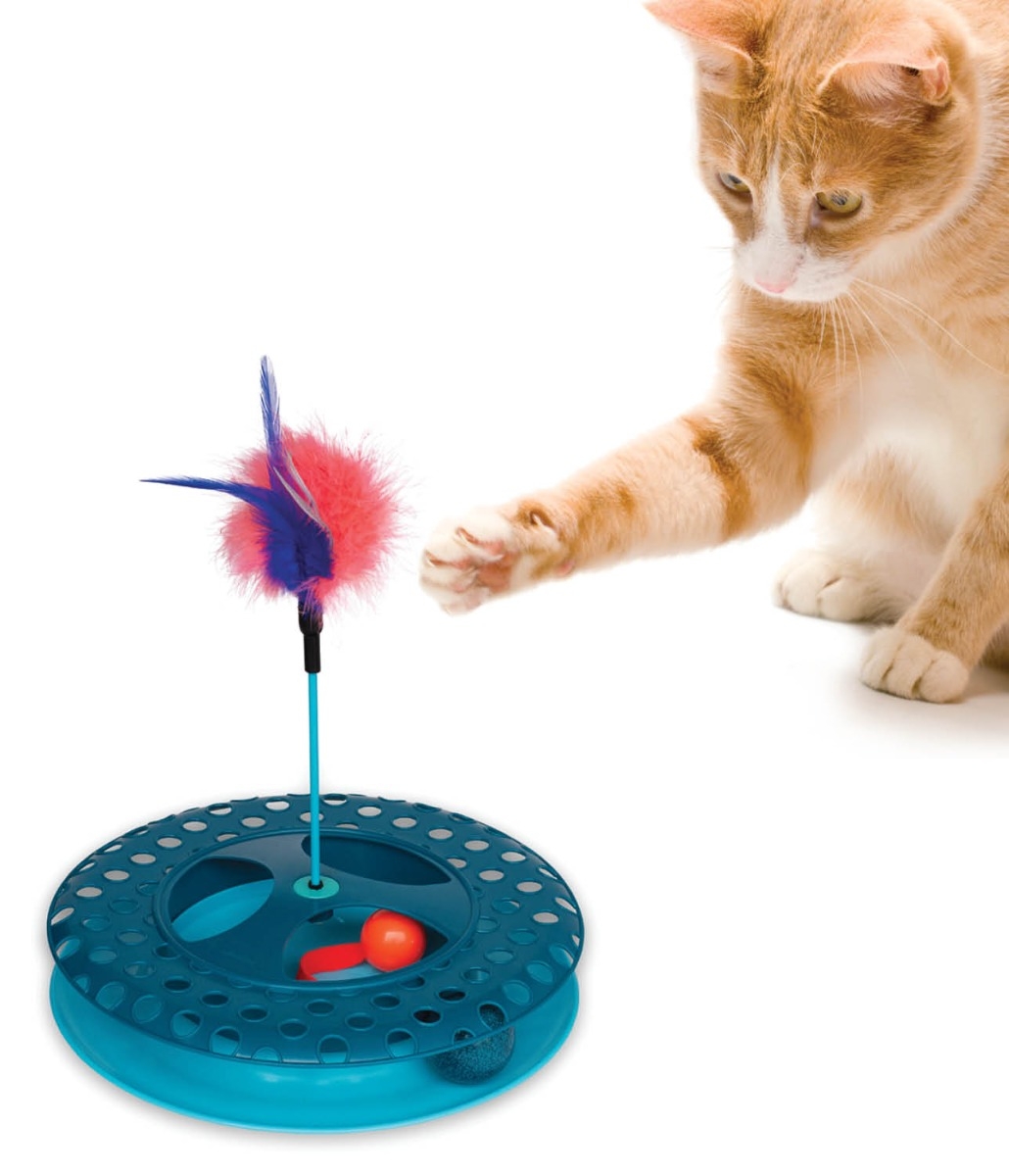 Feather Chaser Toy
