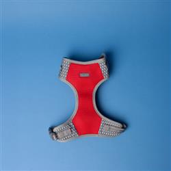 Harness
