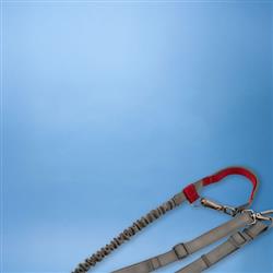 N-GAGE Stretch Leash