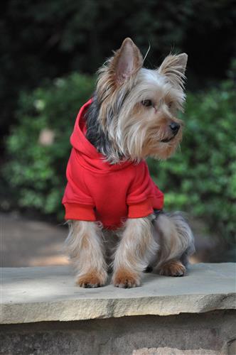 Flex-Fit Dog Hoodie - Red