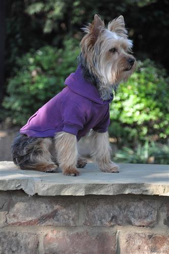 Flex-Fit Dog Hoodie - Purple