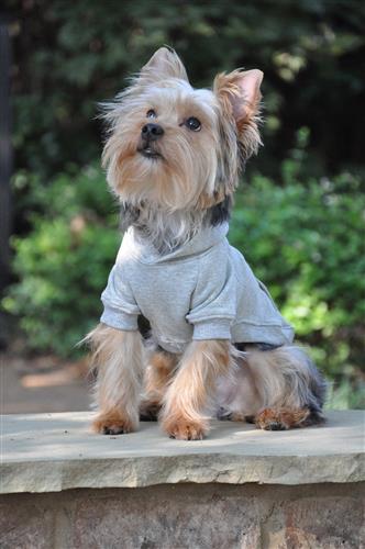 Flex-Fit Dog Hoodie - Gray