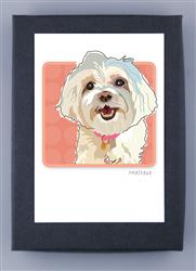 Maltese Smiling - Grrreen Boxed Notes