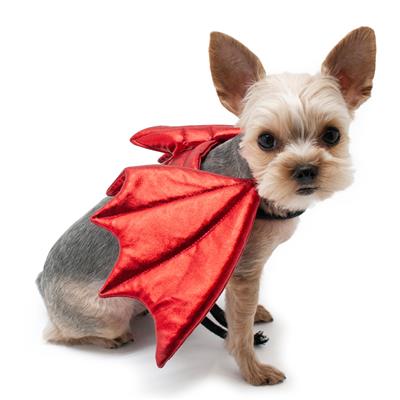 Dragon Wings
