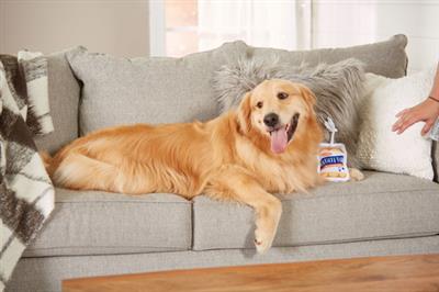 Gefilte Fish Dog Toy