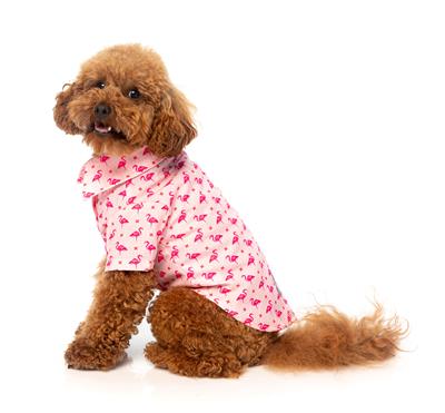 Fabboyant Hawaiian Shirt