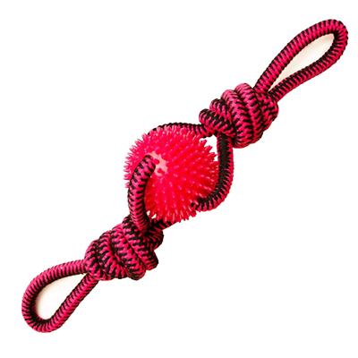 Spikey Beast - 24 Rope Toy (Assorted Colors)