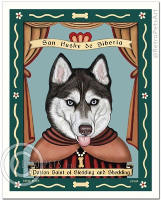 San Husky de Siberia - BLUE eyes