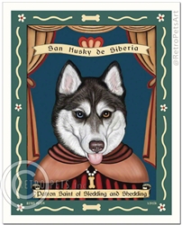 San Husky de Siberia - BLUE/BROWN eyes