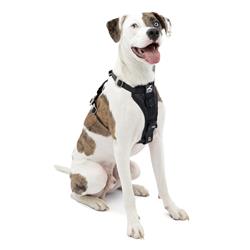 Extra Product Image
