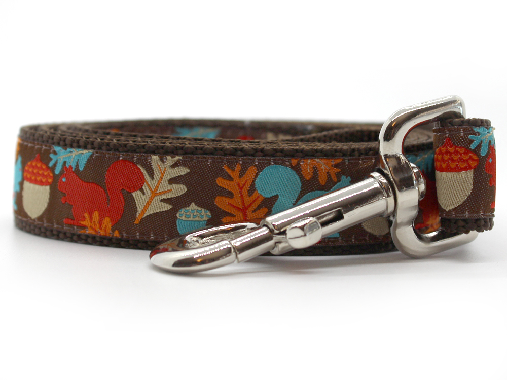 Squirrel! Dog Collar Silver Metal Buckles