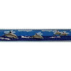 Dolphin - 3/4" Collars, Leashes and Harnesses