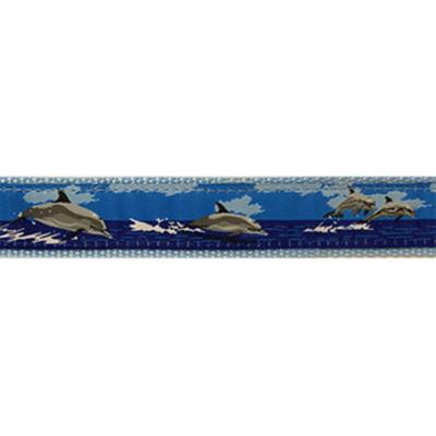 Dolphin - 3/4" Collars, Leashes and Harnesses