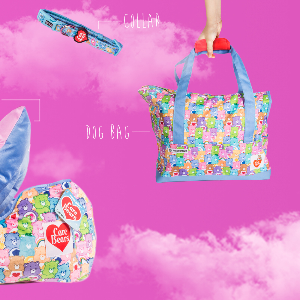 Care Bears™ Best Friends Carrier Bag