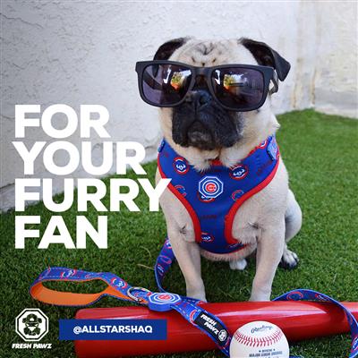 Chicago Cubs | Adjustable Mesh Harness