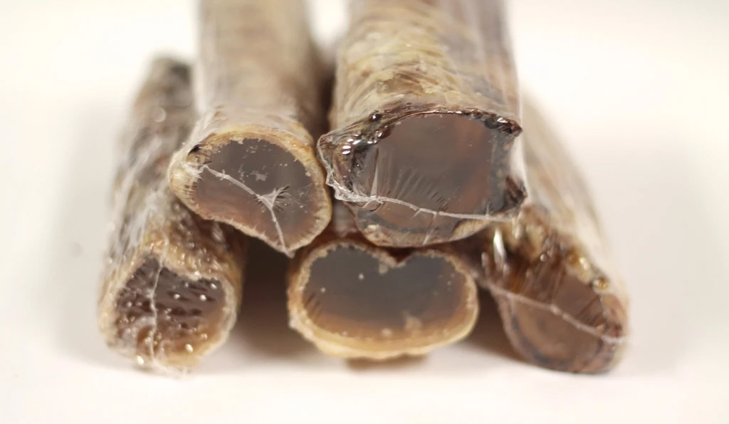 6" Beef Trachea (Individually Shrink Wrapped)