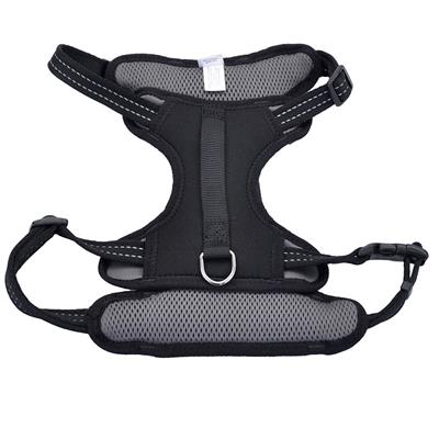 Reflective Control Handle Harness