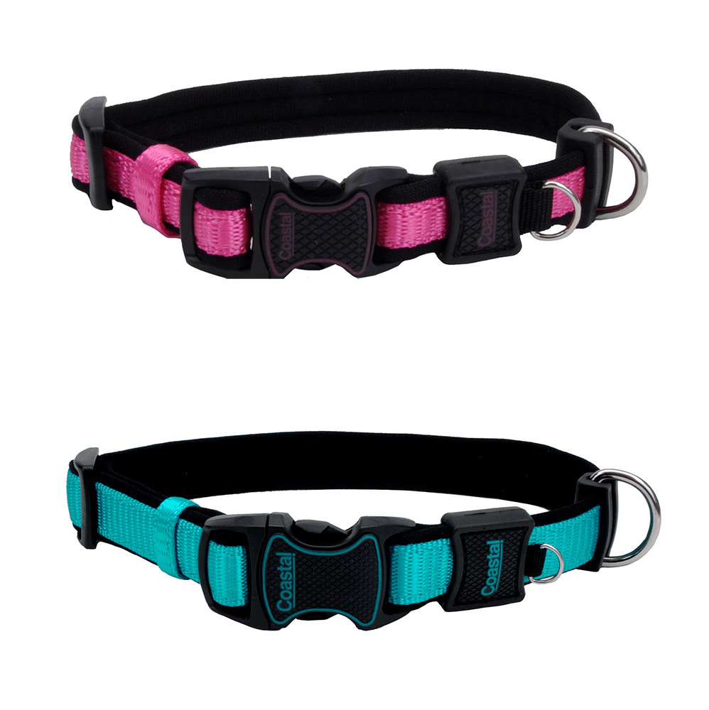 Inspire Collar and Leash Display (72 pieces)