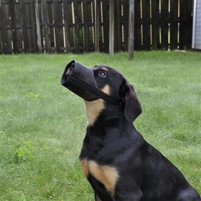 Best Fit® Adjustable Mesh Dog Muzzle