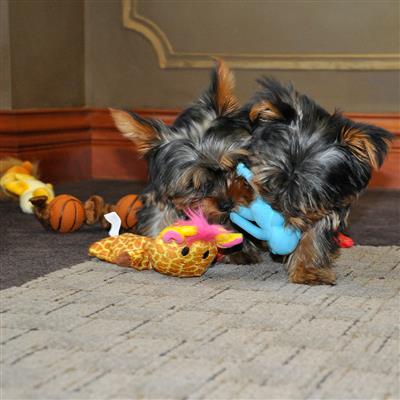 Li'l Pals® Plush Crinkle Giraffe Dog Toy