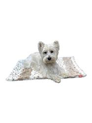 Blanket, Ice Taupe Lynx Small