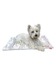 Blanket, Grey Linx Square