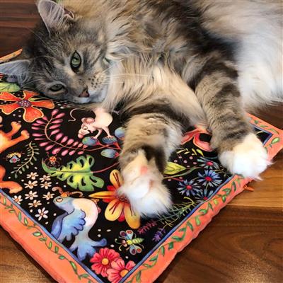 Summer's Dream - Sweet Spot Kitty Carpet for cats - 3 Carpets