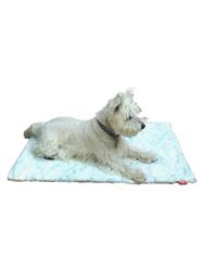 Blanket, Frosted Saltwater Small