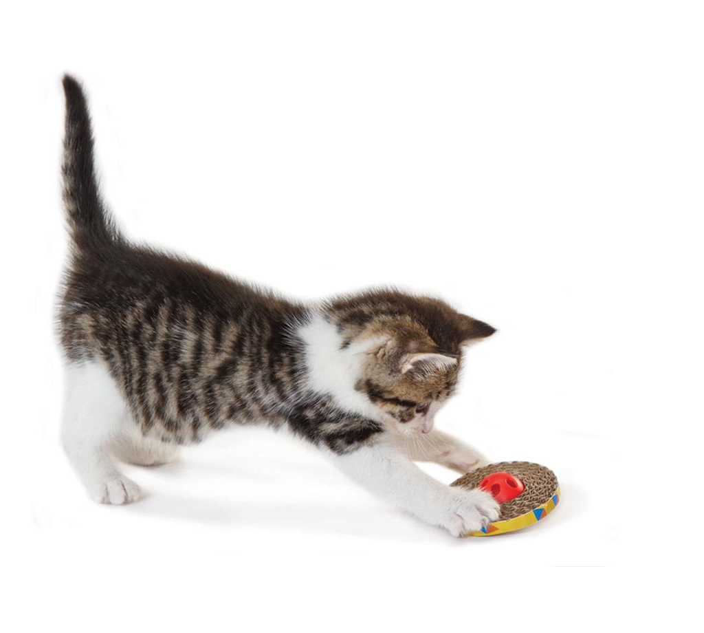 Petstages™ Spin & Scratch Toy