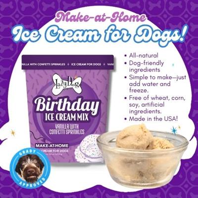 Make at Home Ice Cream Mix for Dogs! Birthday Cake