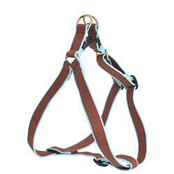 Brown and Aqua - Color Market Collection Harnesses