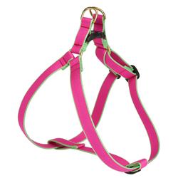 Bright Pink and Lime - Color Market Collection Harnesses