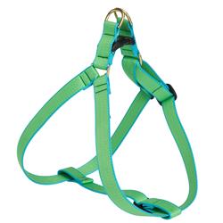 Lime and Aqua - Color Market Collection Harnesses