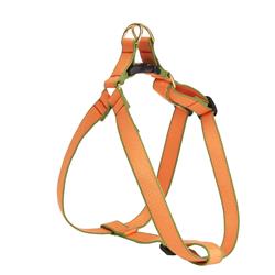 Tangerine and Pine - Color Market Collection Harnesses