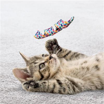KONG® Cat Active Curlz - 2 pack