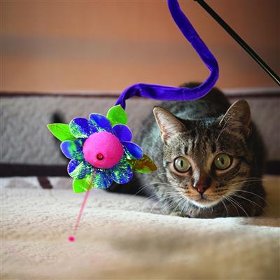 KONG® Laser Teaser Characters Cat Toy - Assorted Characters