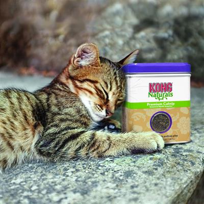 KONG® Naturals Catnip