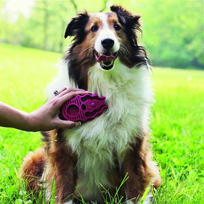 KONG® Zoomgroom™ Raspberry