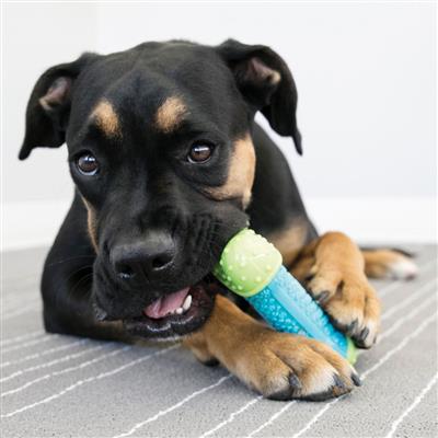 KONG® Corestrength™ Ball