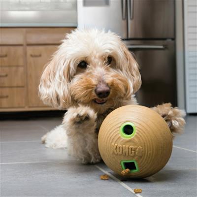 KONG® Bamboo Feeder Dumbbell Dog Toy