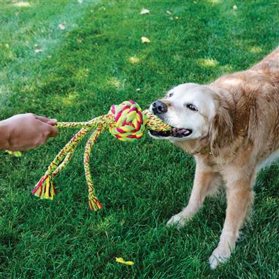 KONG® Wubba Weaves w/Rope Dog Toy - Assorted colors