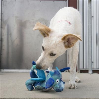 KONG® Dragon Knots Dog Toy - Assorted Colors