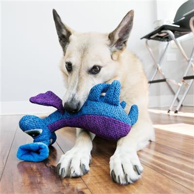 KONG® Blue Woozles Dog Toy